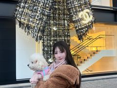 -王府半岛酒店