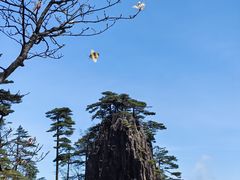 -黄山风景区