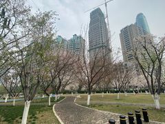 -西北湖绿化广场