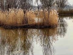 -野鸭湖国家湿地公园