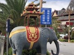 -打洛口岸