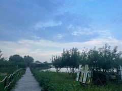 -西青郊野公园