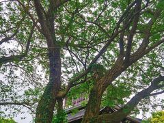 -虞山风景区
