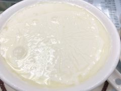 双皮奶-义顺牛奶公司