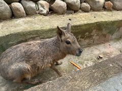 -泉州海丝野生动物世界