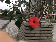 -全季酒店(广州越秀公园店)