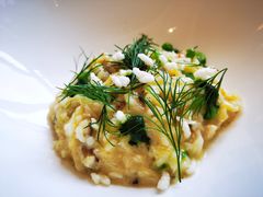 帝王蟹肉芝士烩饭配青豆香草-Jean Georges