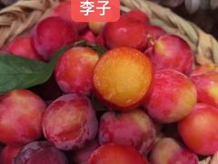 -东山风景区(洞庭东山)