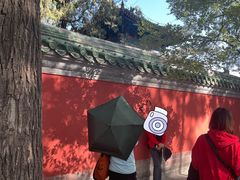 -北京国子监胡同