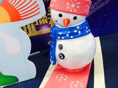 -绍兴启迪乔波冰雪世界