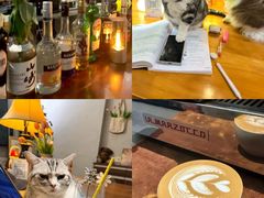 -咖法森林·咖啡  酒吧(天河店)