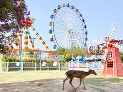 -观澜湖生态运动公社