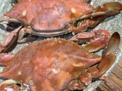 -和源祥·日照菜扛把子(万平口一店)