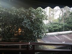 -随意茶庄·地道杭帮农家菜(梅家坞店)