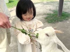 -盈香心动乐园