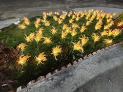 -考记泥焗鸡农庄·海鲜(北洛秘境店)