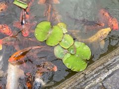 -嬉乐湾休闲旅游区