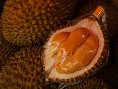 -红星农博物流中心