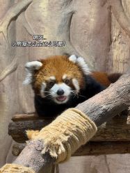 -Zoolung Zoolung动物主题公园(海信广场店)