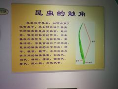 -上海昆虫博物馆