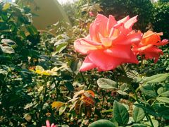 -人民公园(罗湖区)