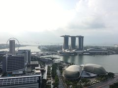 -新加坡瑞士史丹福酒店