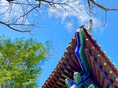 -禅宗少林·音乐大典