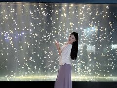 -合肥海洋世界