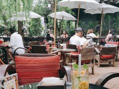 -Fern Forest Cafe
