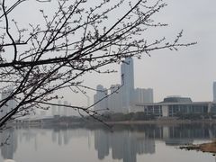 -月湖风景区