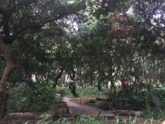 -黄埔荔枝公园