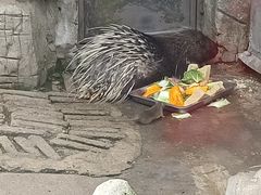 -黔灵山公园