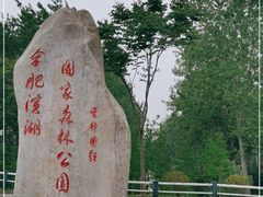 -合肥滨湖国家森林公园