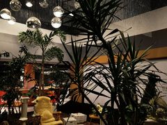 -云里小坐·海泉湾·团建·宴席·下午茶(金堂海泉湾店)