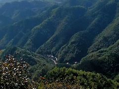 -四明山国家森林公园