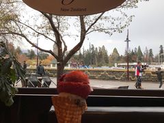 -Patagonia Chocolates(皇后镇店)