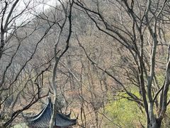-句容茅山景区