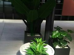 -成都工业学院(郫都校区)