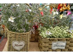 -三圣花乡旅游区