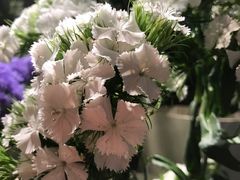 -良友花店(天目山路店)