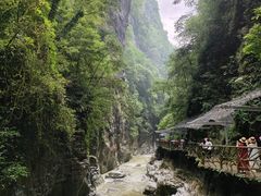 -蝶舞清江·恩施地心谷景区