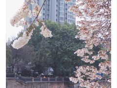 -红星桥(地铁站)