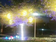 -永旺梦乐城国际商城(北清路店)