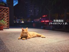 -朴物良社(东明锦园店)