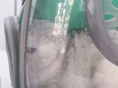 -佳雯宠物医院(金华南路分院)