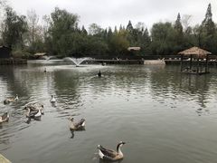 -溱湖国家湿地公园