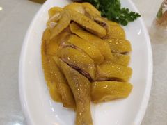 -口衣记鸡饭店