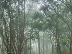 -七娘山