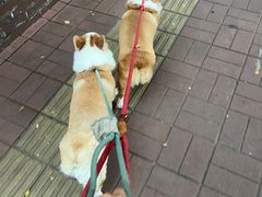 -平行世界·猫咖(首经贸店)