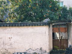 -丝绸小镇荻港古村